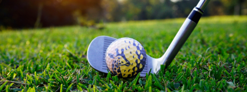 golf_twiga banner2
